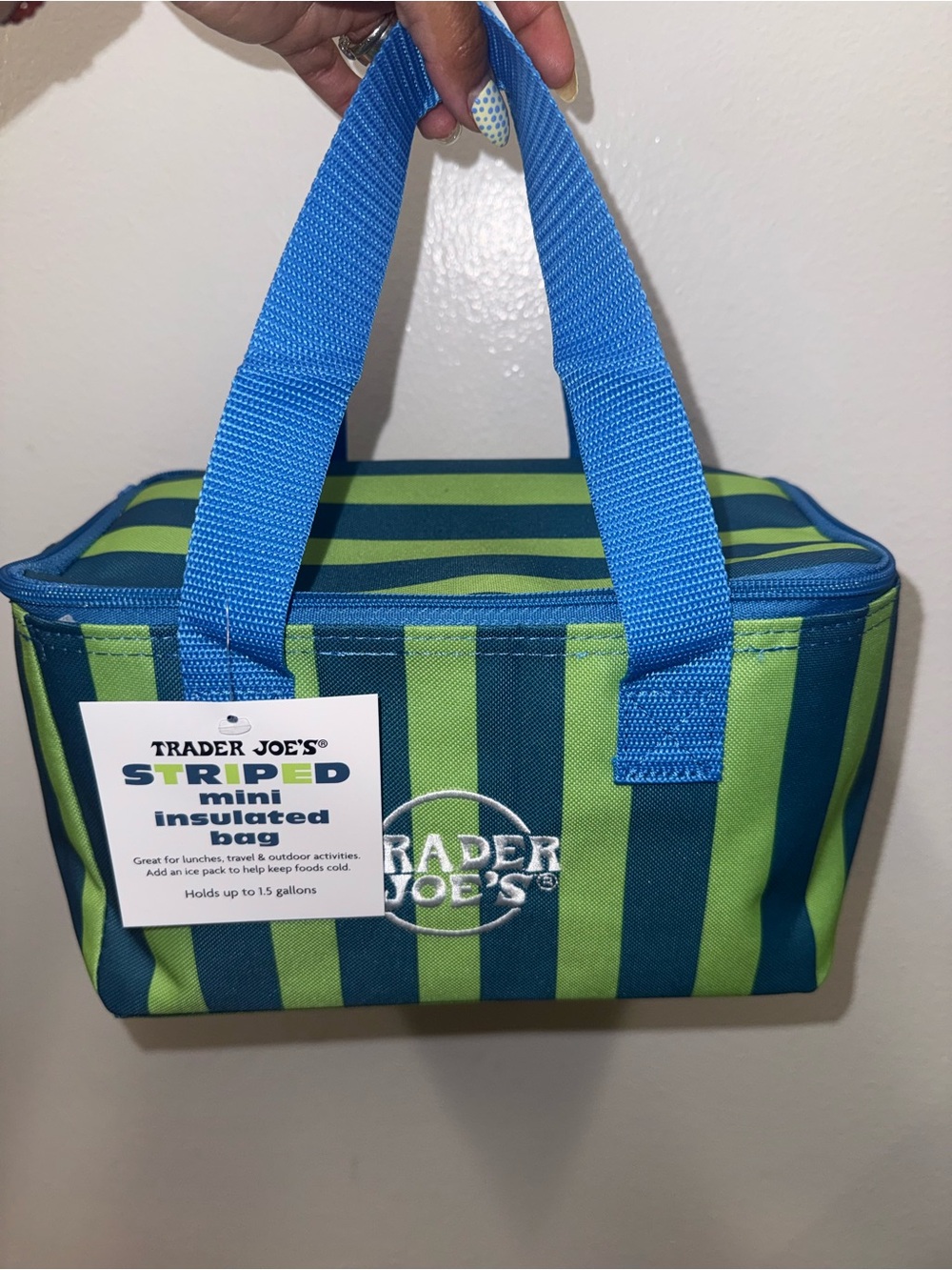 NEW Trader Joe’s Blue and Green Striped Insulated Lunch Bag